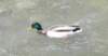 dscn8322_small.jpg