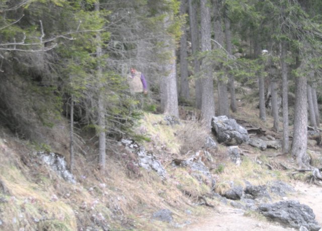 dscn8598.jpg