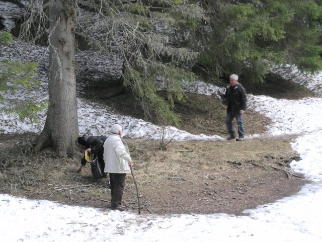 dscn8608.jpg